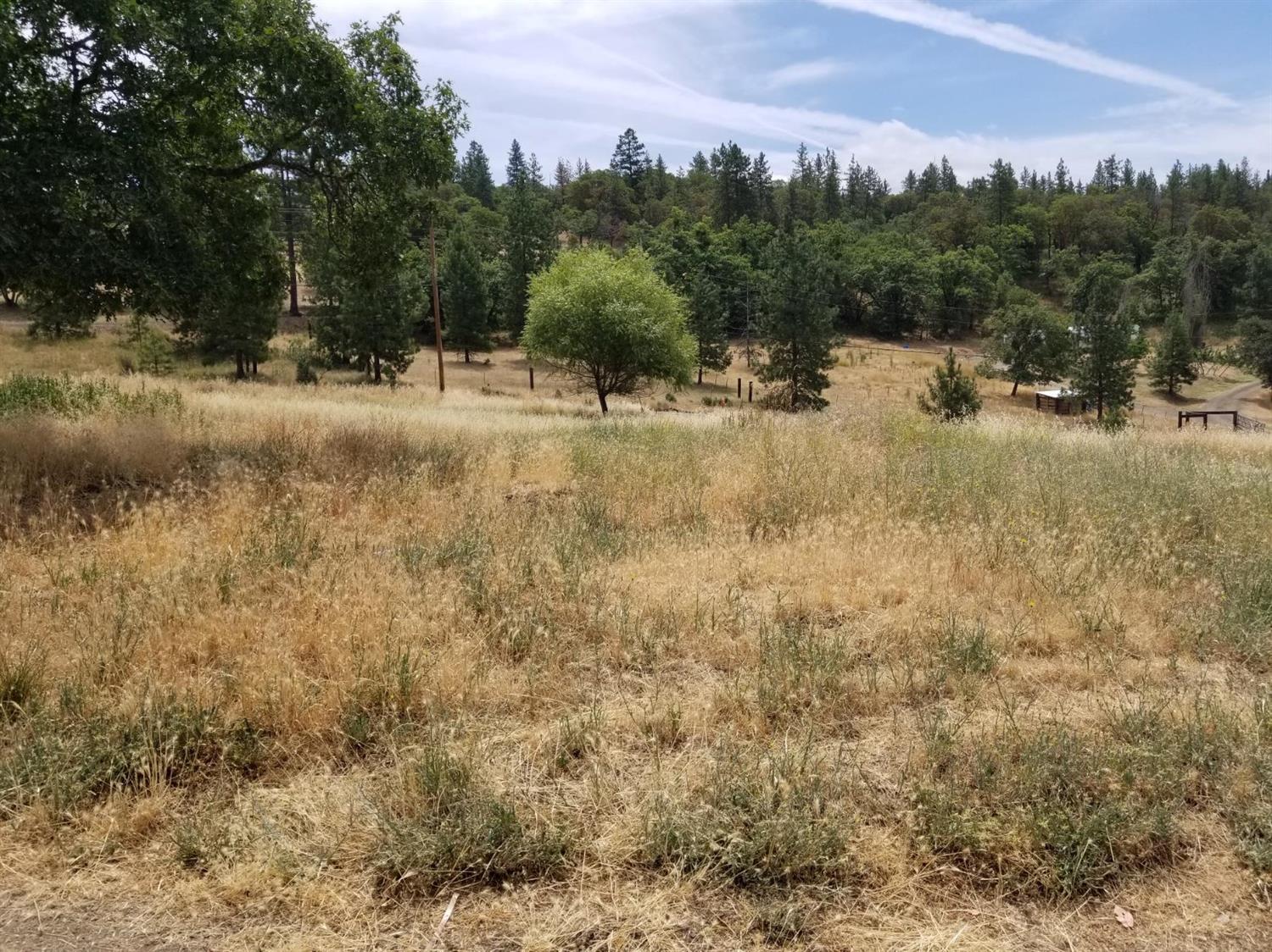 This is your affordable opportunity to live in the country! This 3 bedroom, 2 bath, 1152 sq ft home on 3.97 acres with mountain views. The home just went through a rehabilitation which consisted of the following: new well pump, all new insulated windows, interior texture and paint, new flooring in the living room & kitchen bathrooms, complete lap siding, new exterior doors, re-built decks, exterior paint and replaced skirting. The home is now ready for you to put your own finishing touches & develop the land to be your own paradise. Property is located approximately 20 minutes from Medford, the freeway and the airport. Well is low producing (1.5-2 GPM) with a holding tank. This is a twice moved manufactured home, but the following lenders have stated they could provide financing: VA loan through Heidi Schulzke at Willamette Valley Bank, or conventional loan with Charlie Facey at Banner Bank.