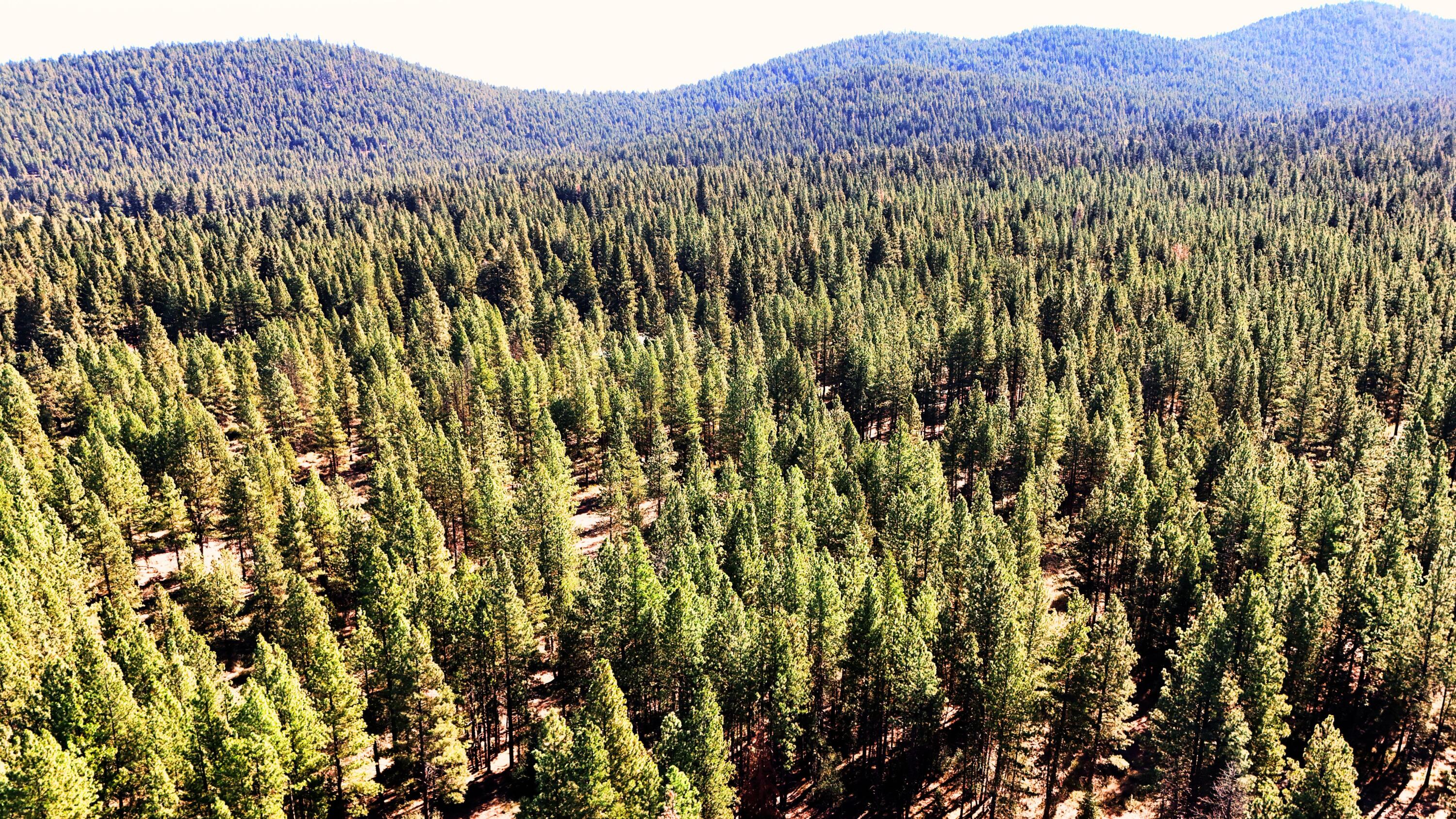 Mountain Lakes Homesites - Land