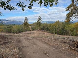 Merlin Townsite - Land