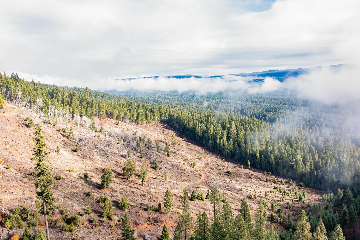 N/A - Land