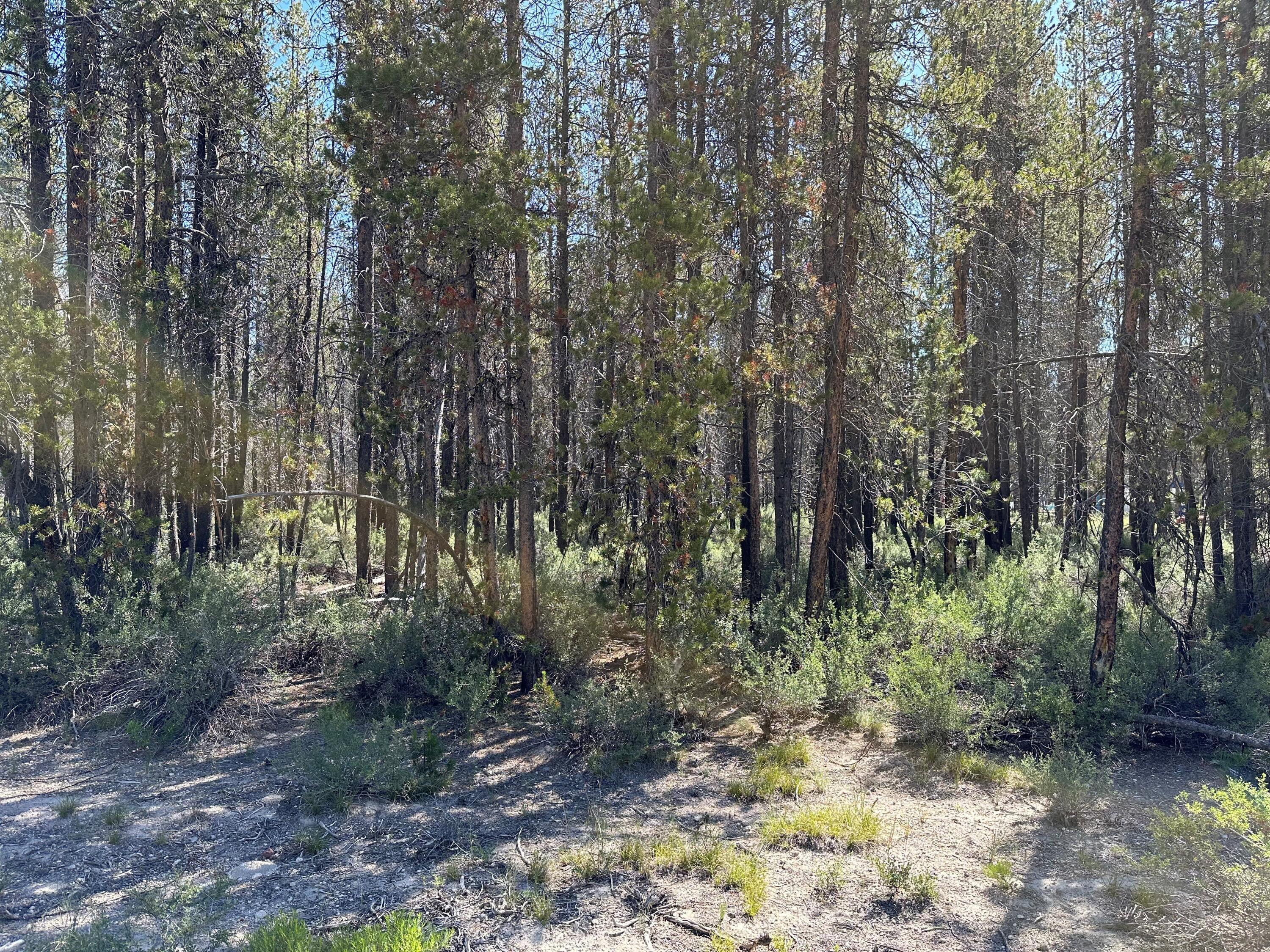 Mt. Scott Meadow - Land
