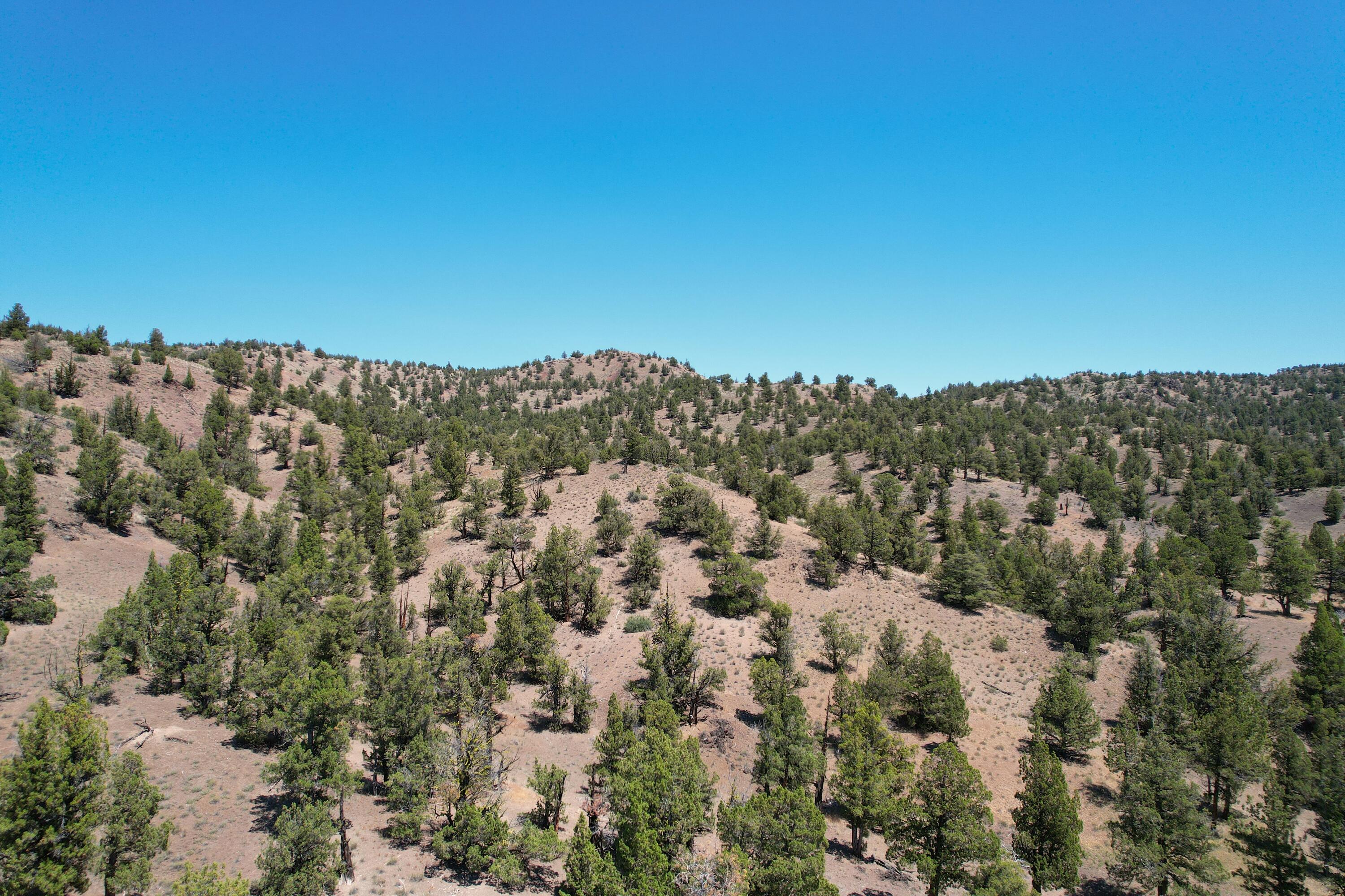 Looking for your own private oasis? This 40 acre piece is certain to have very minimal light pollution and is conveniently located close to Robert's Bay on Prineville Reservoir. Property is surveyed and recorded. Parcel is bordered on two sides by over 27,000 acres of BLM. Build your dream hunting or fishing cabin on this off grid property for your own private getaway. (check with county regarding CUP).