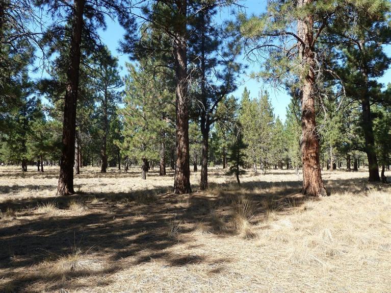 Beautiful level building site on 5 acres very close to town. All utilities in place including electricity, private well and septic. Large Ponderosa Pines and long paved driveway with turnaround. Horses allowed. Nice 1024 sq. ft. barn with loft. Perfect setting to build your dream house.