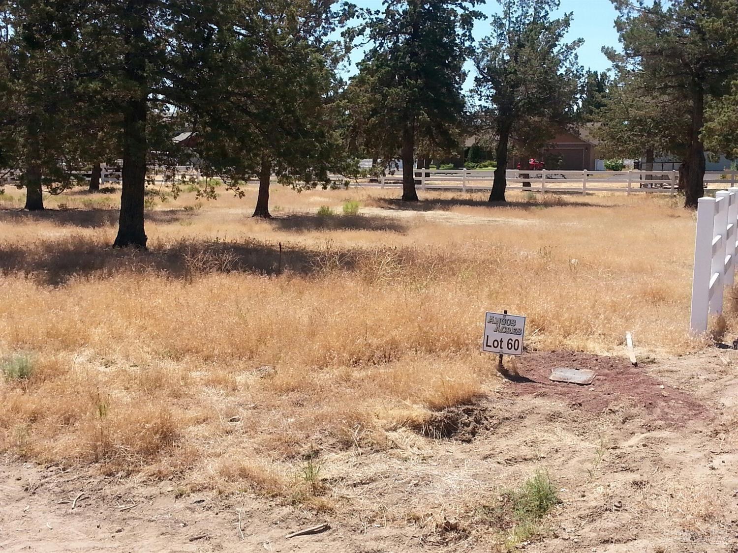 Angus Acres - Land