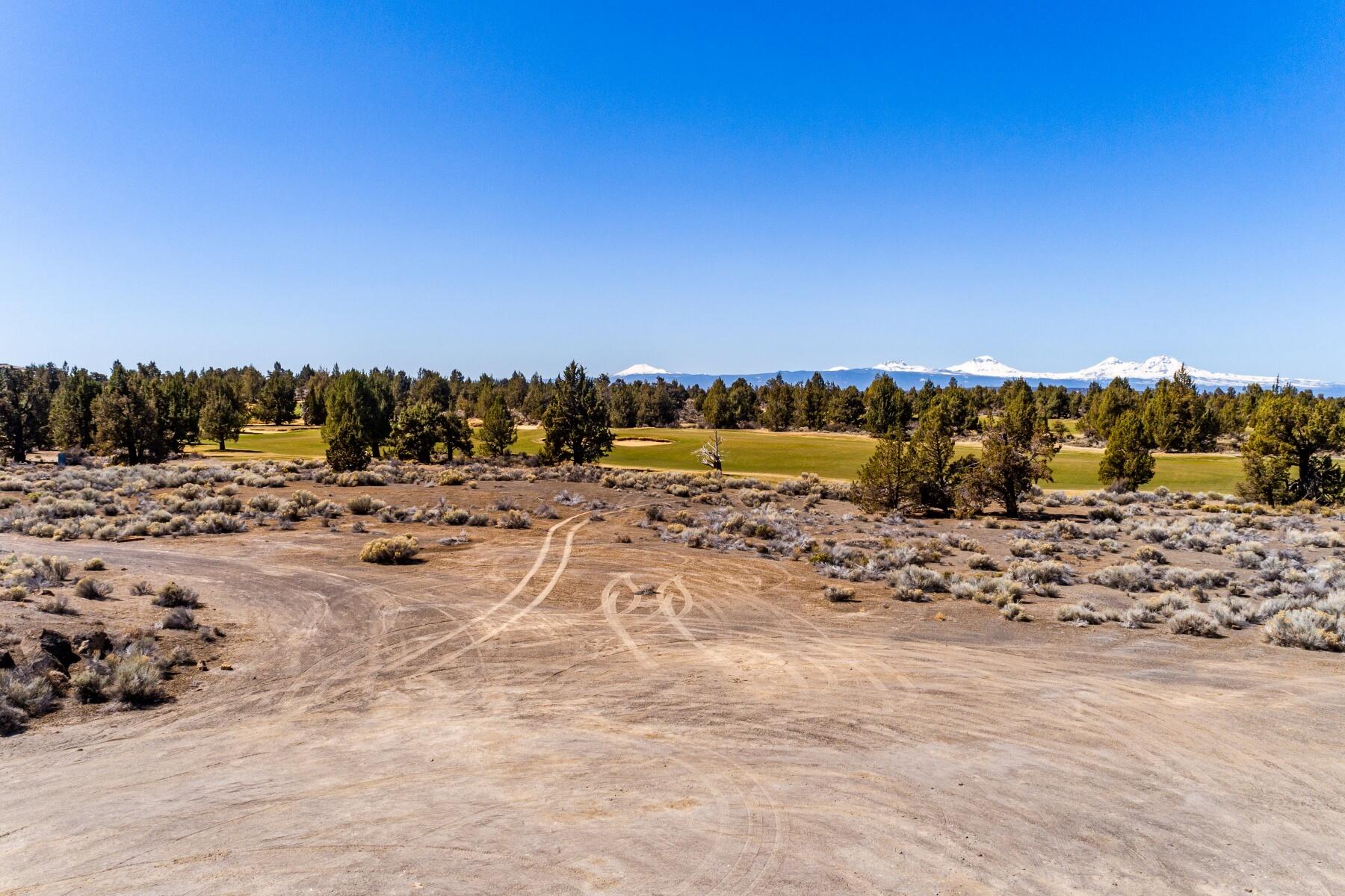 Pronghorn - Land