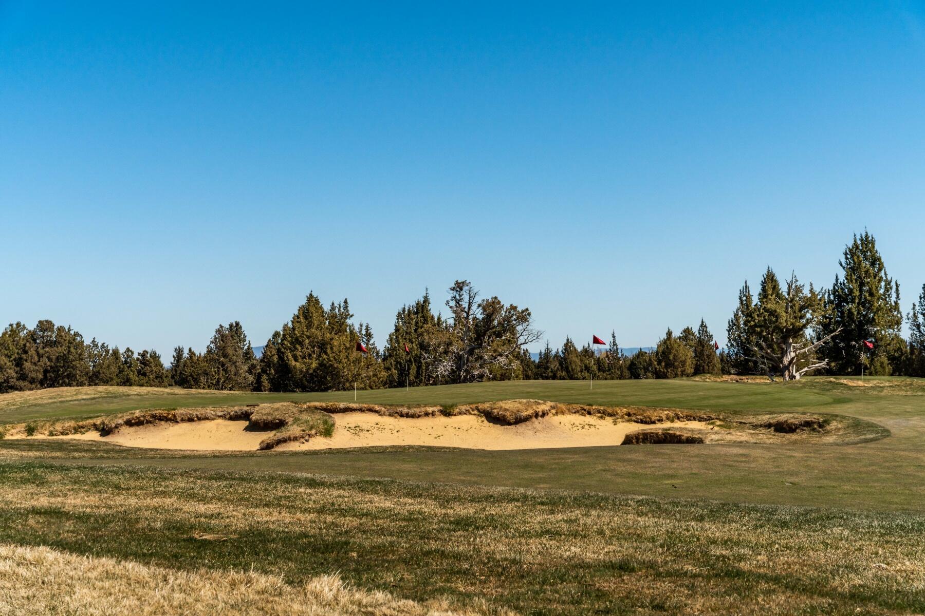 Pronghorn - Land
