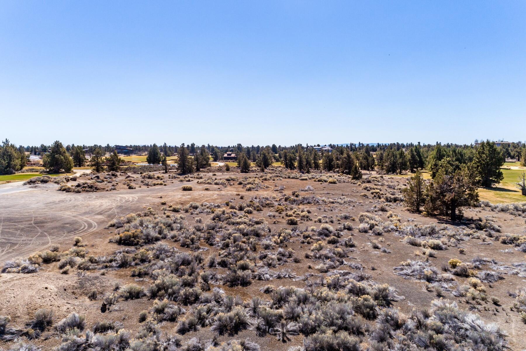 Pronghorn - Land