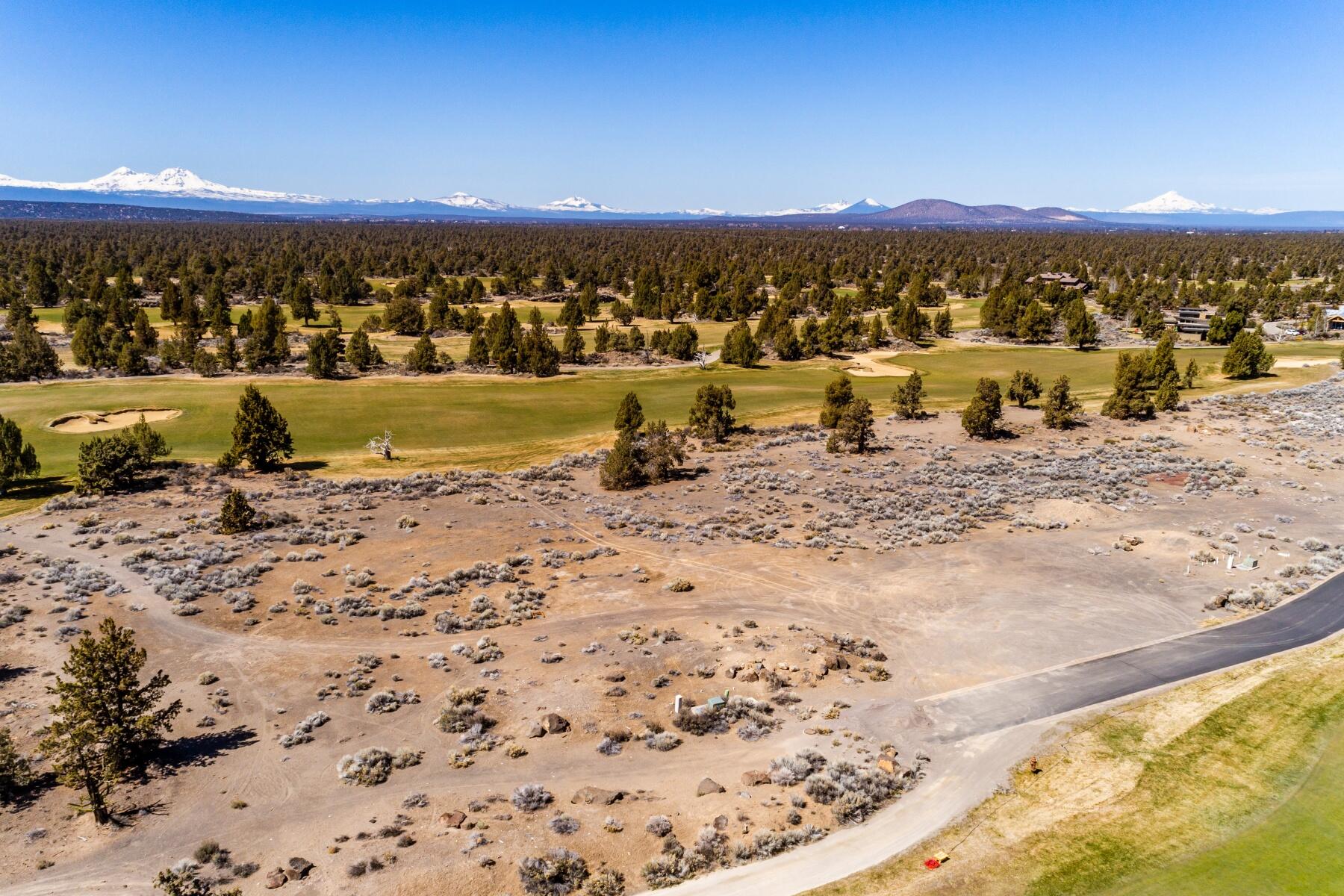 Pronghorn - Land