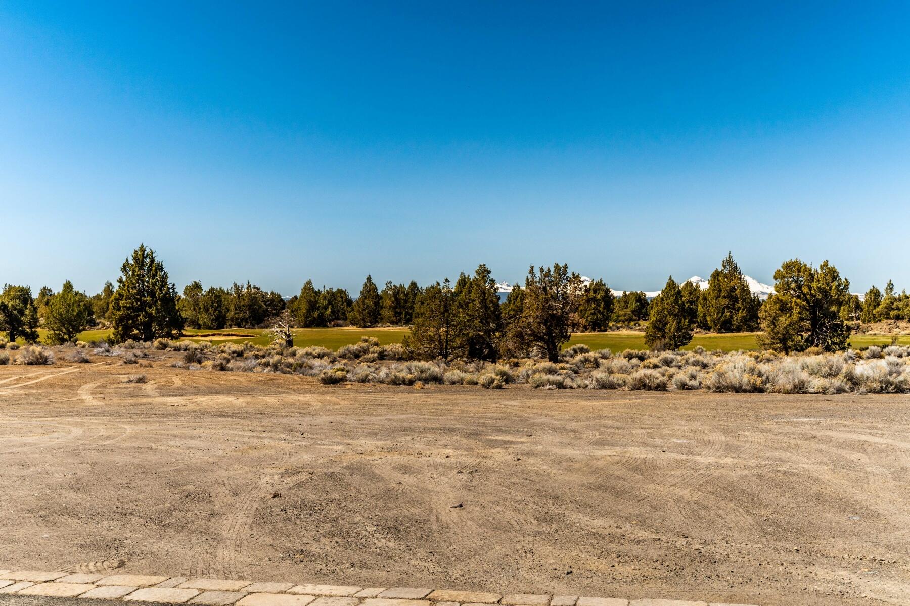 Pronghorn - Land