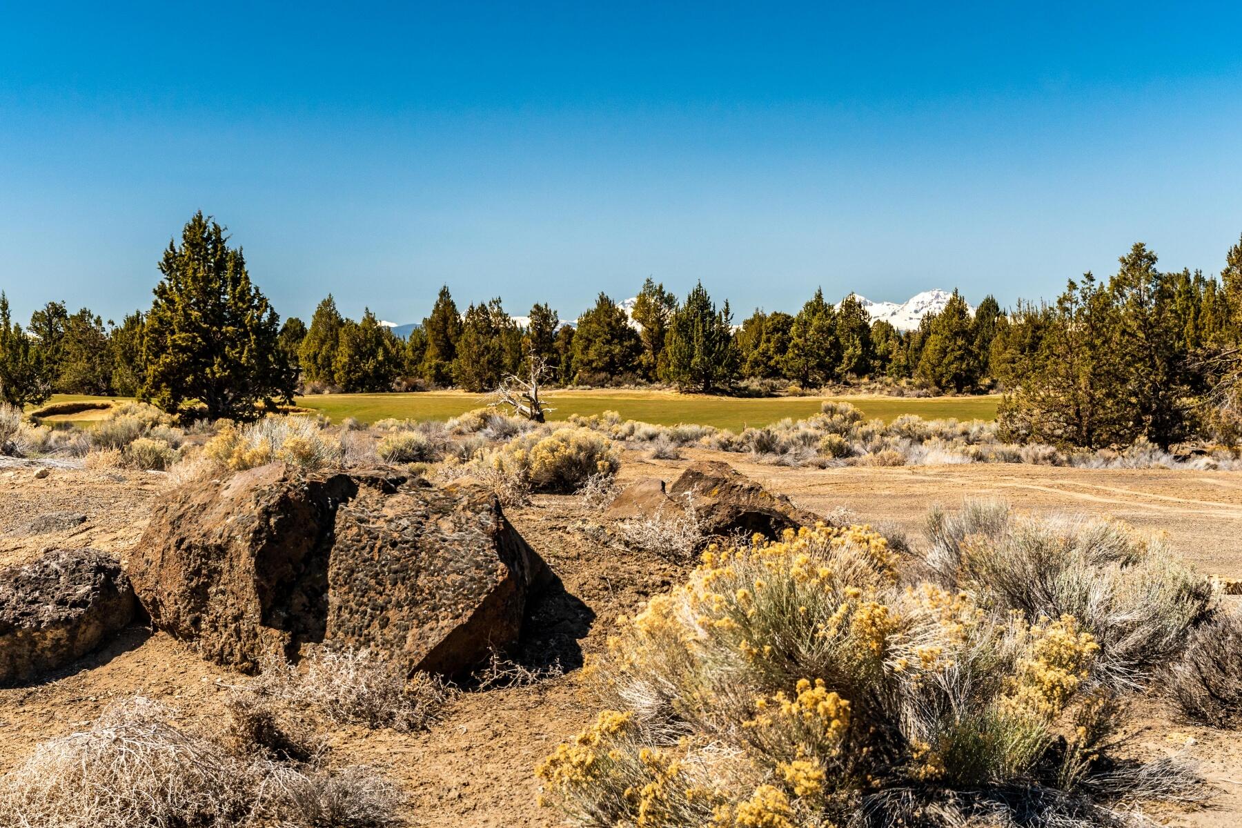 Pronghorn - Land