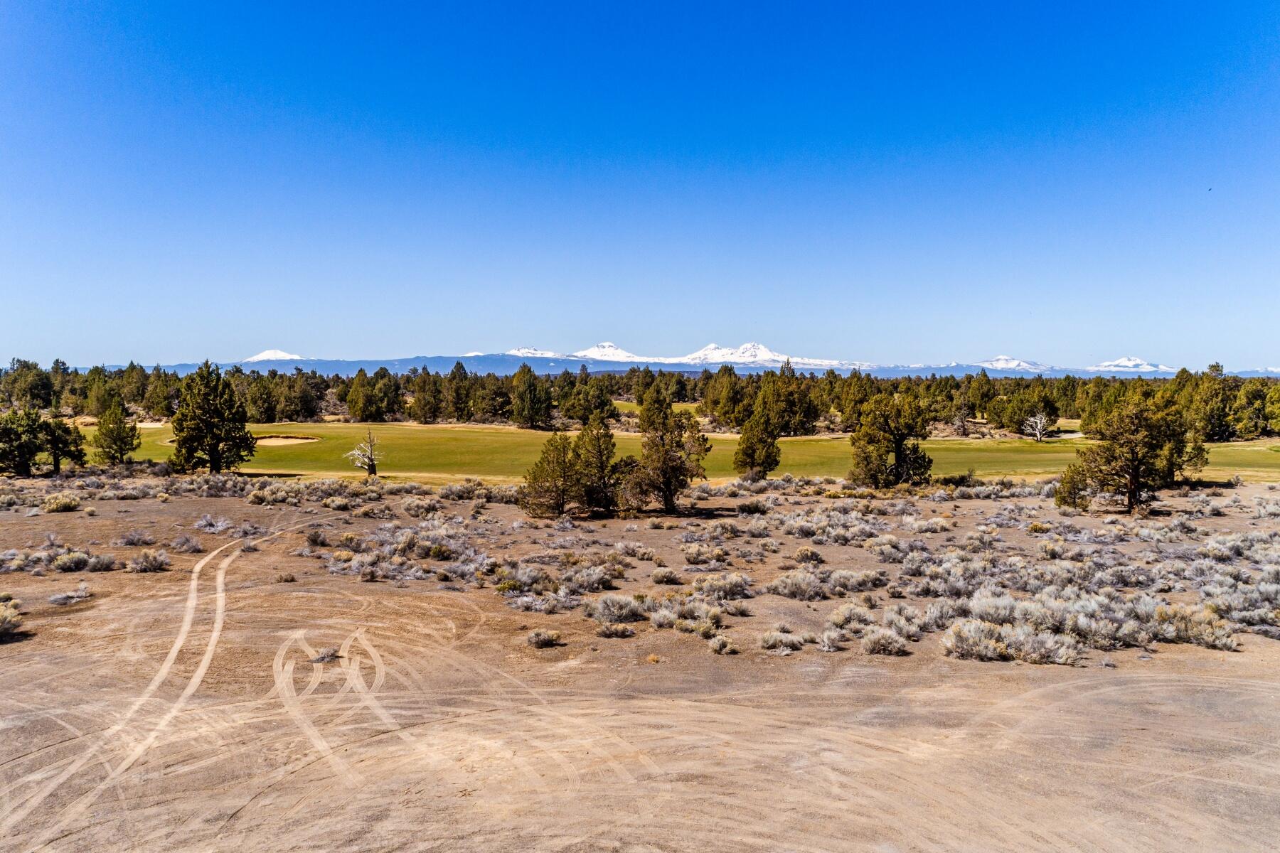 Pronghorn - Land