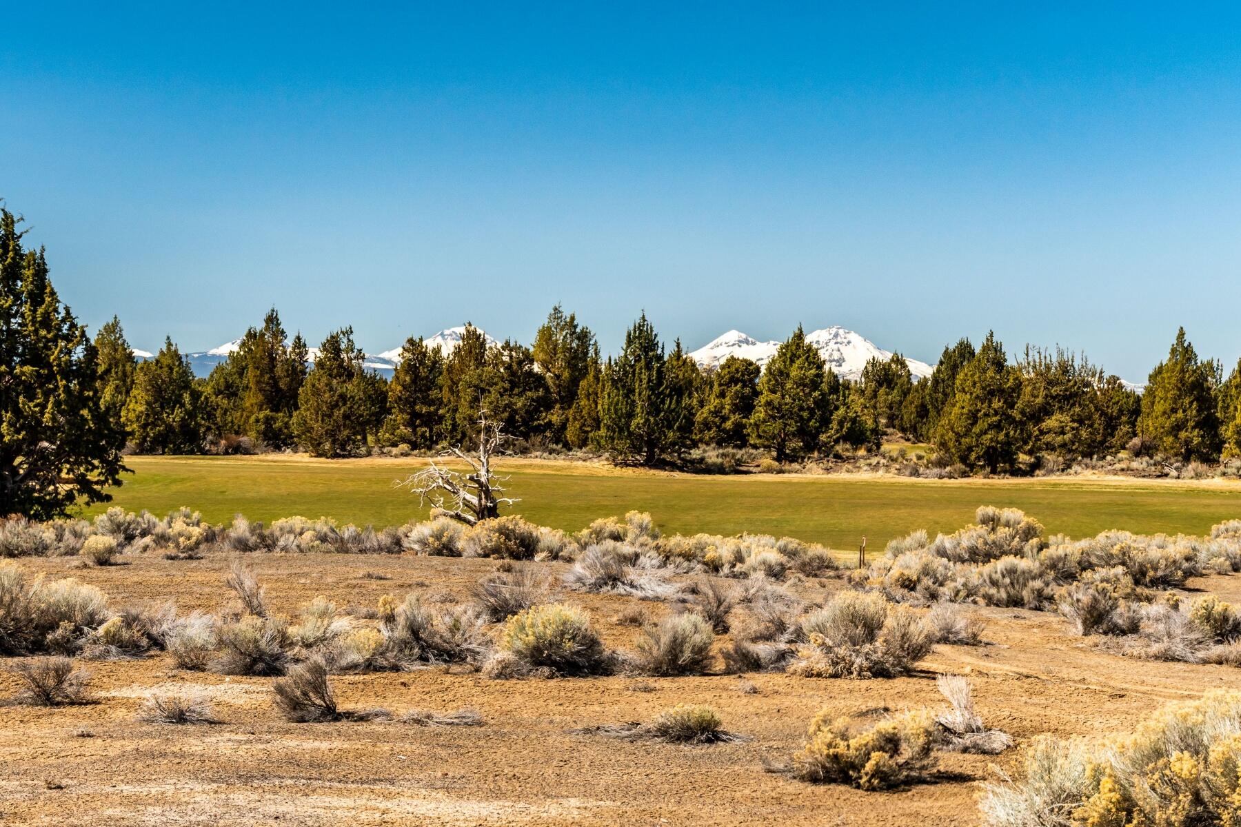 Pronghorn - Land