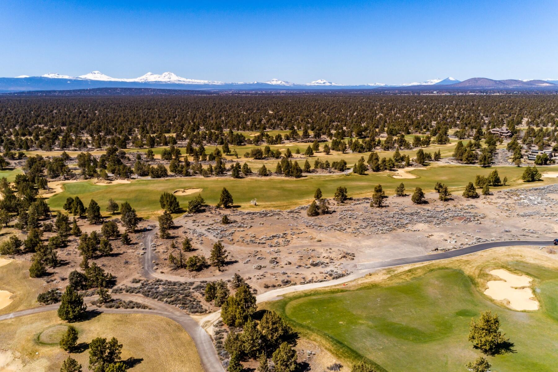 Pronghorn - Land