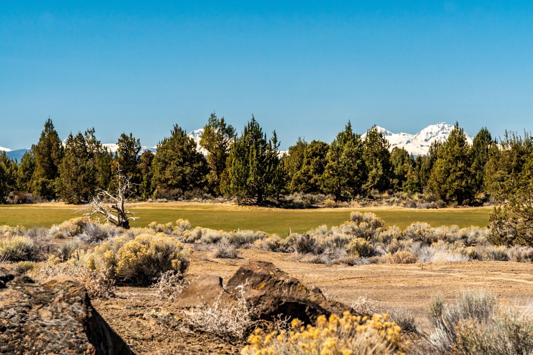 Pronghorn - Land
