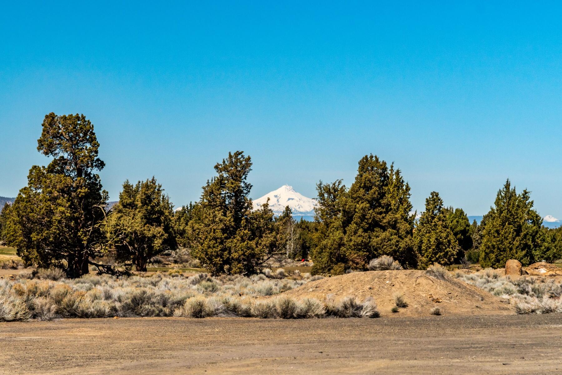 Pronghorn - Land
