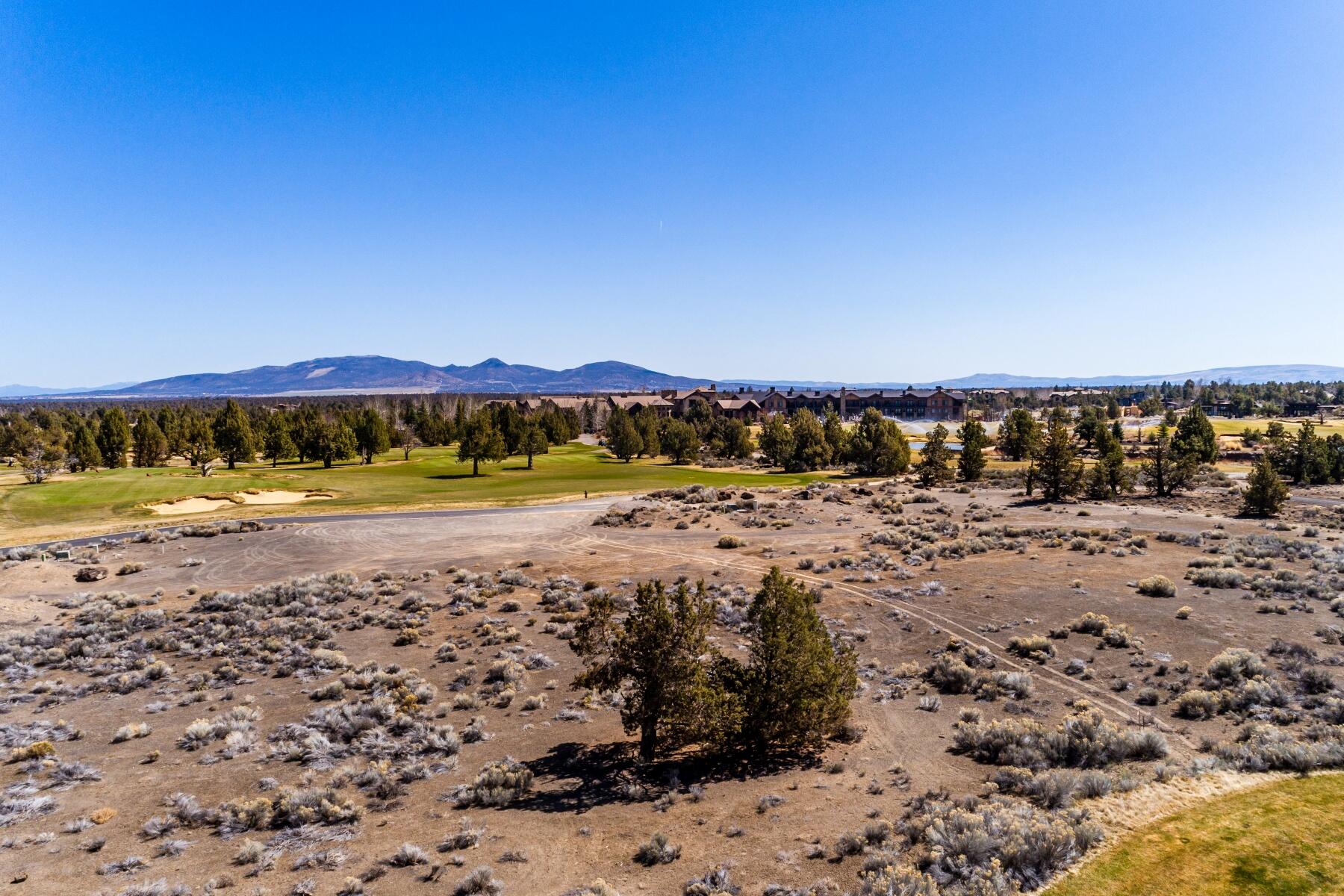 Pronghorn - Land