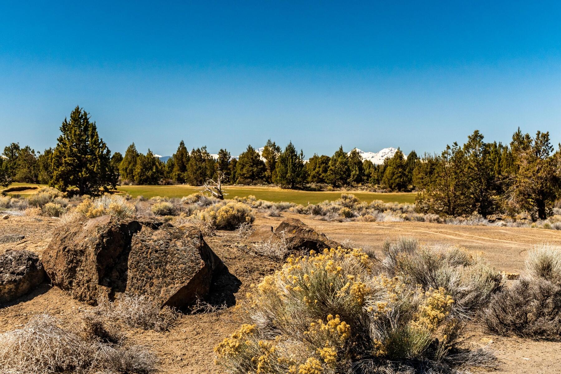 Pronghorn - Land