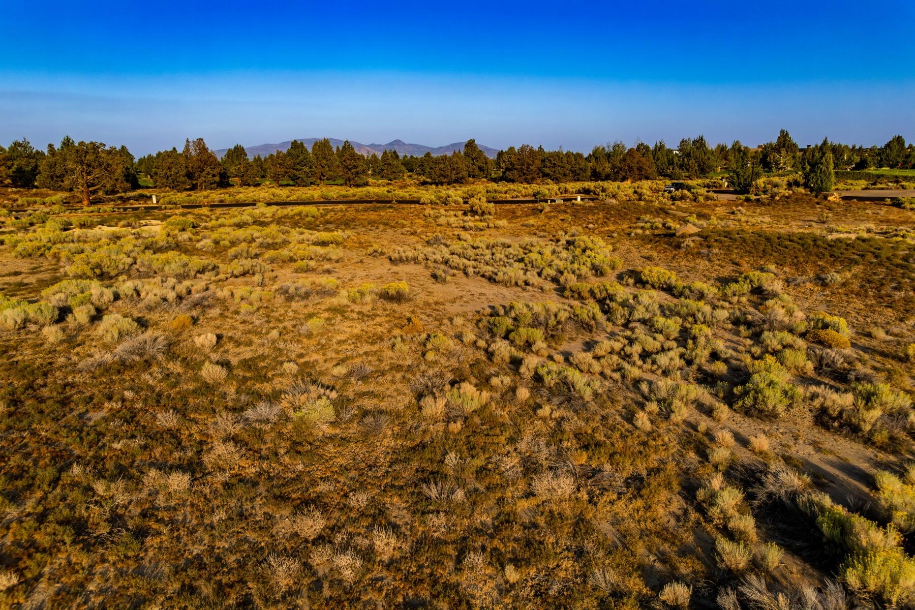 Pronghorn - Land