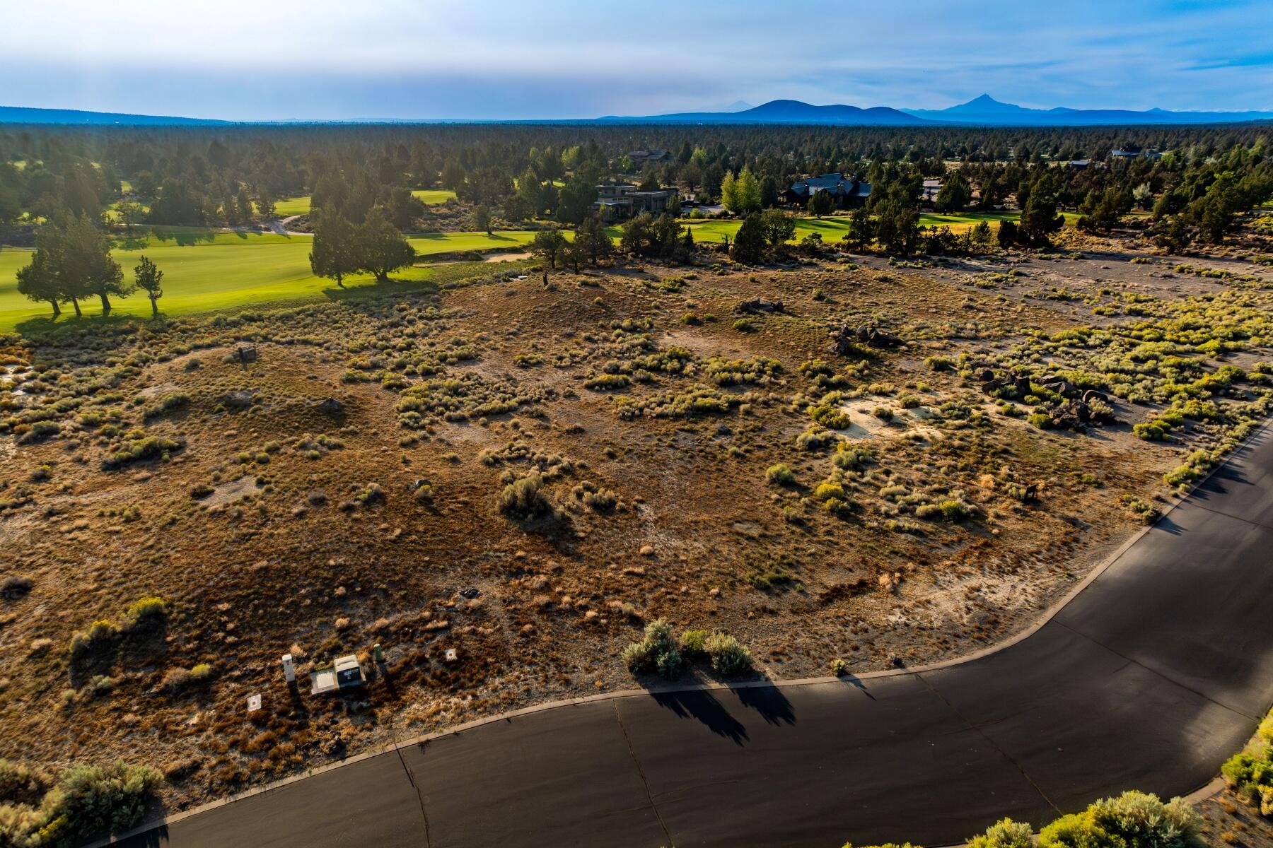 Pronghorn - Land
