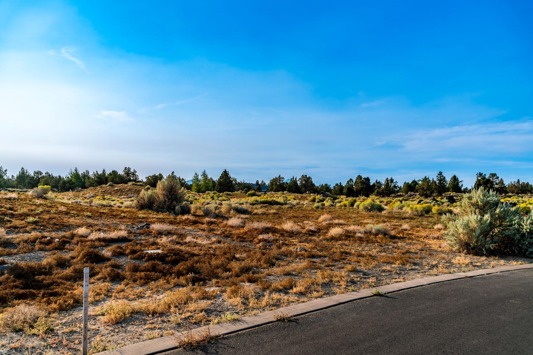Pronghorn - Land