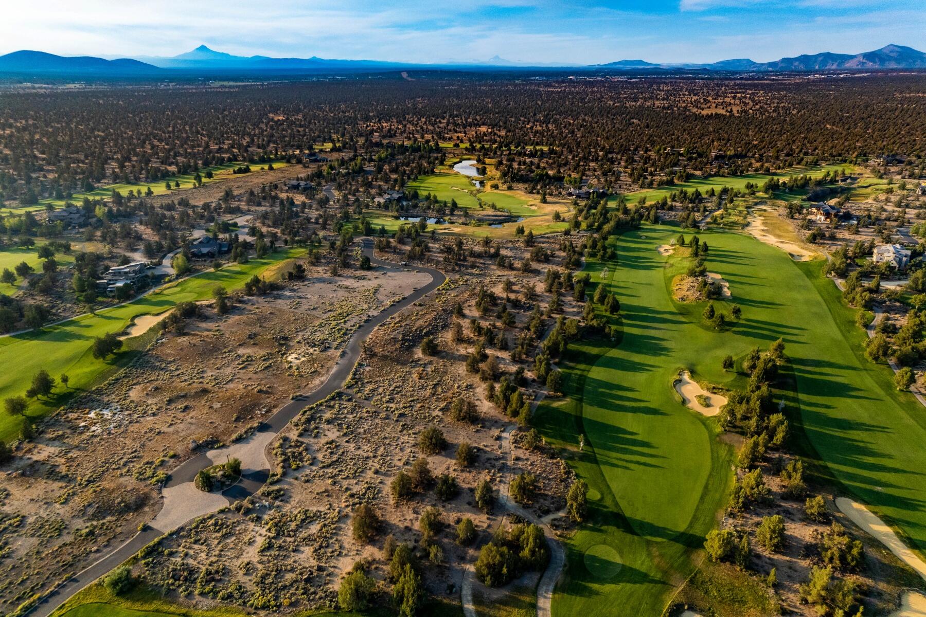 Pronghorn - Land