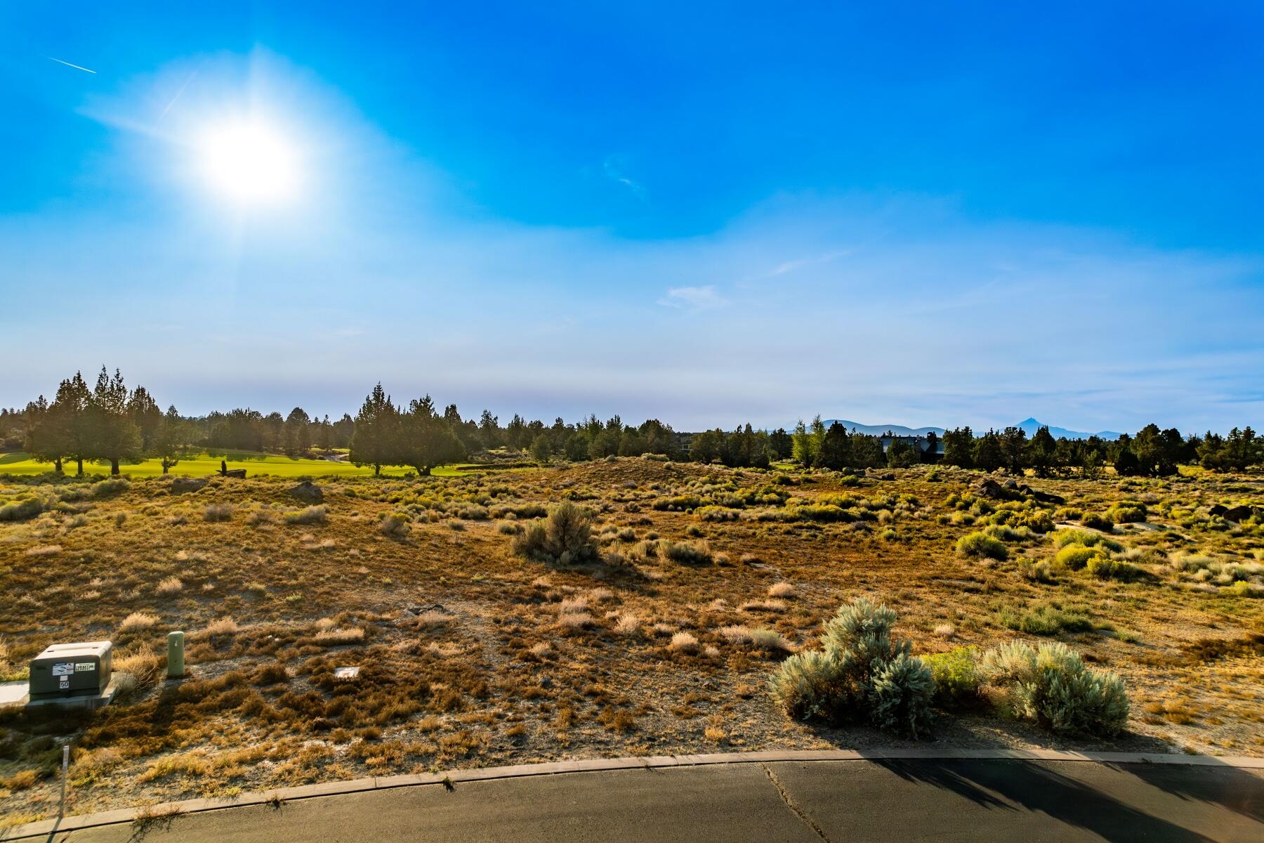 Pronghorn - Land