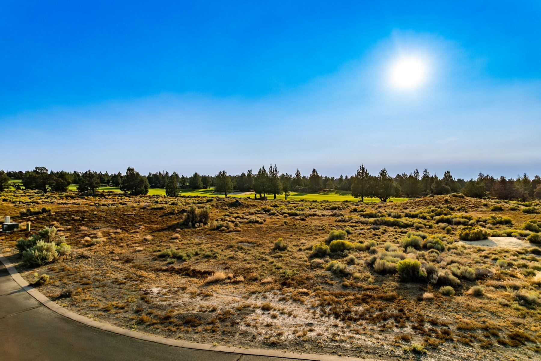 Pronghorn - Land