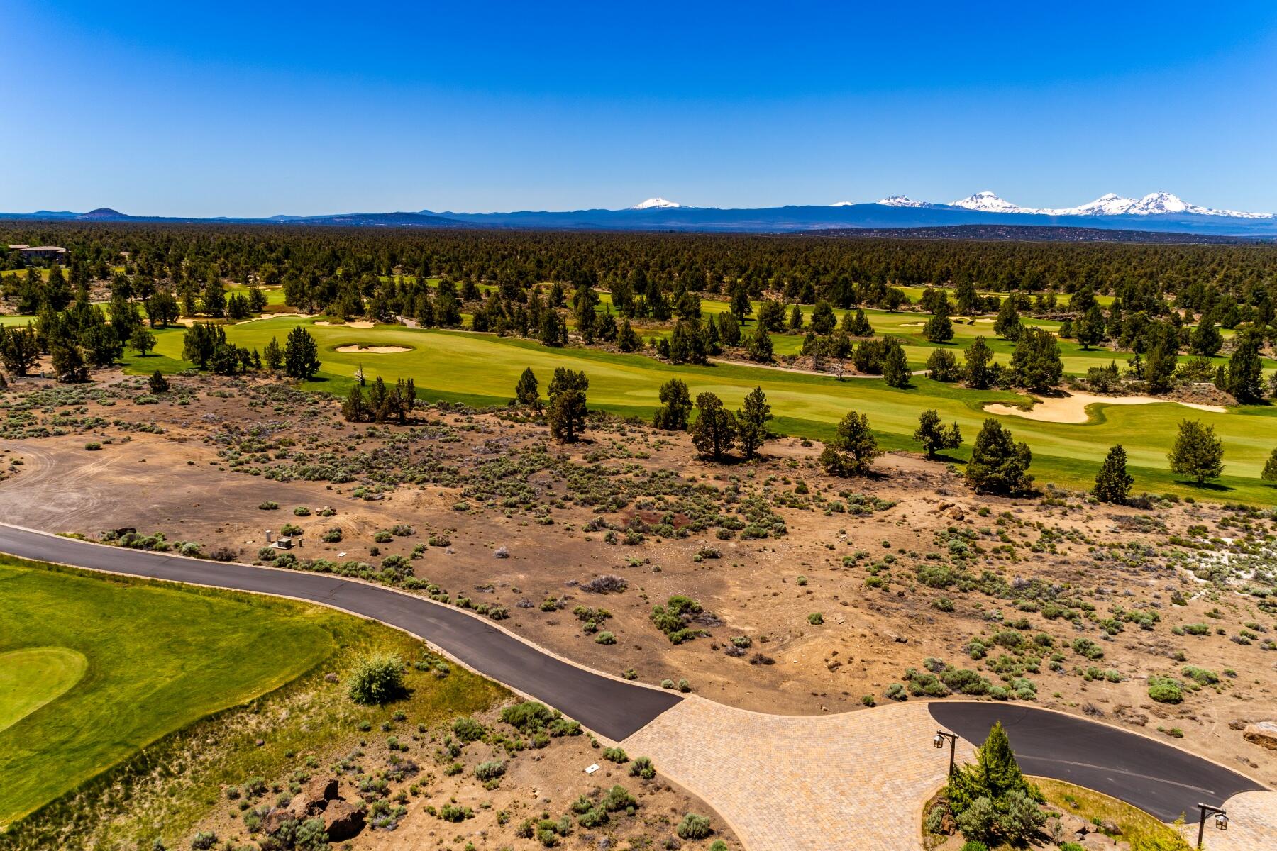 Pronghorn - Land