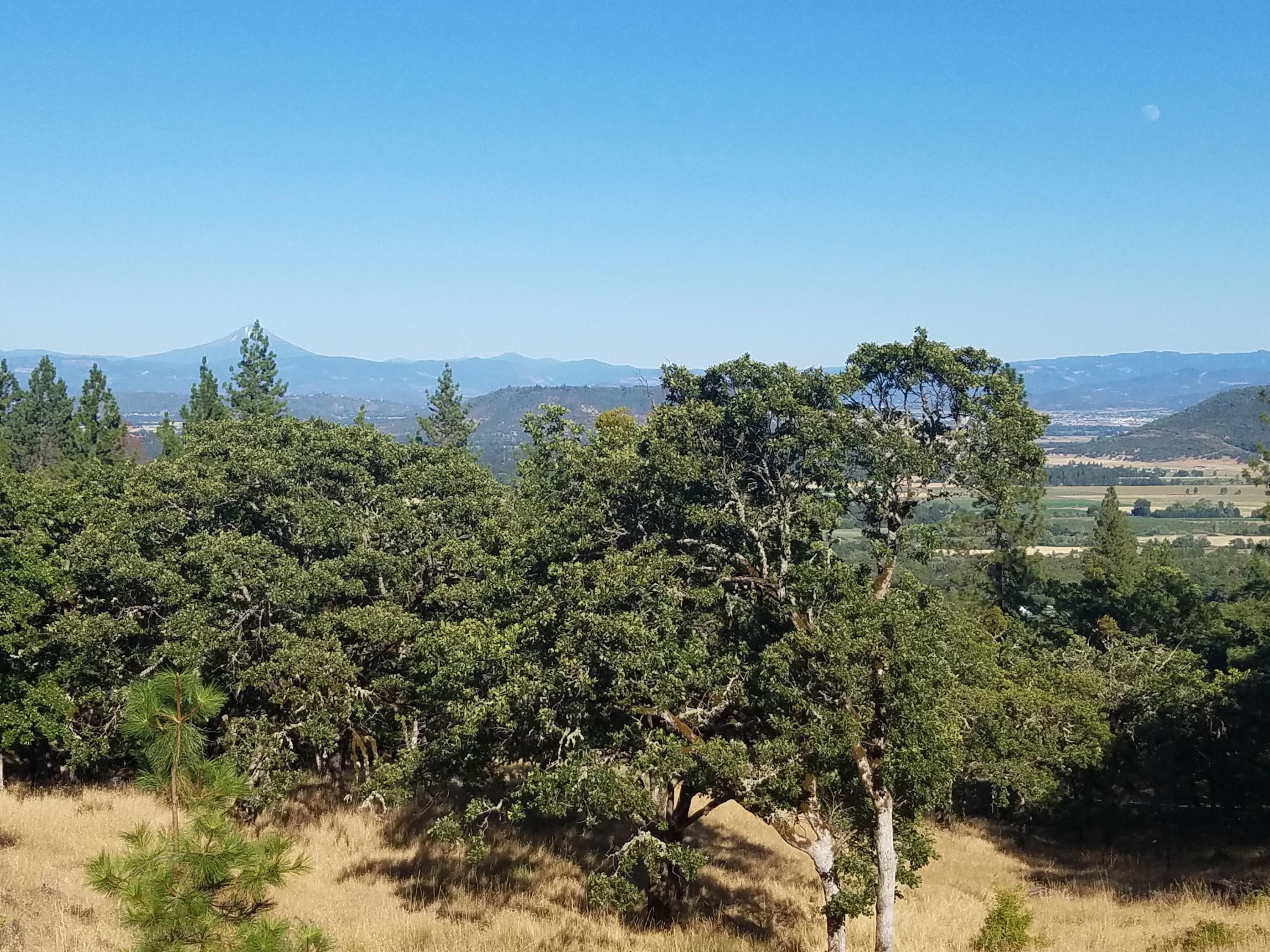 Large view lot ready to build your perfect dream home! Views out to the west hills and mature trees.  Close to town, but with a rural feel.  This lot comes with city water, city sewer, natural gas and electric.  
Listing agent and seller are related.