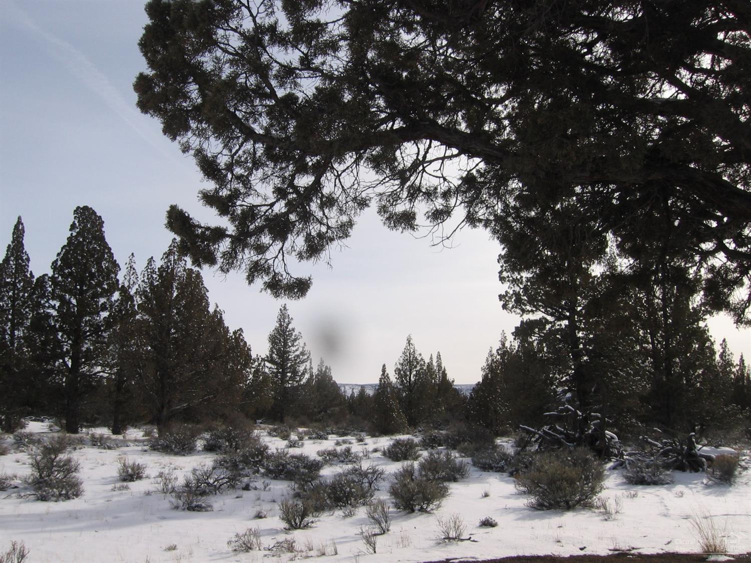 Juniper Acres - Land
