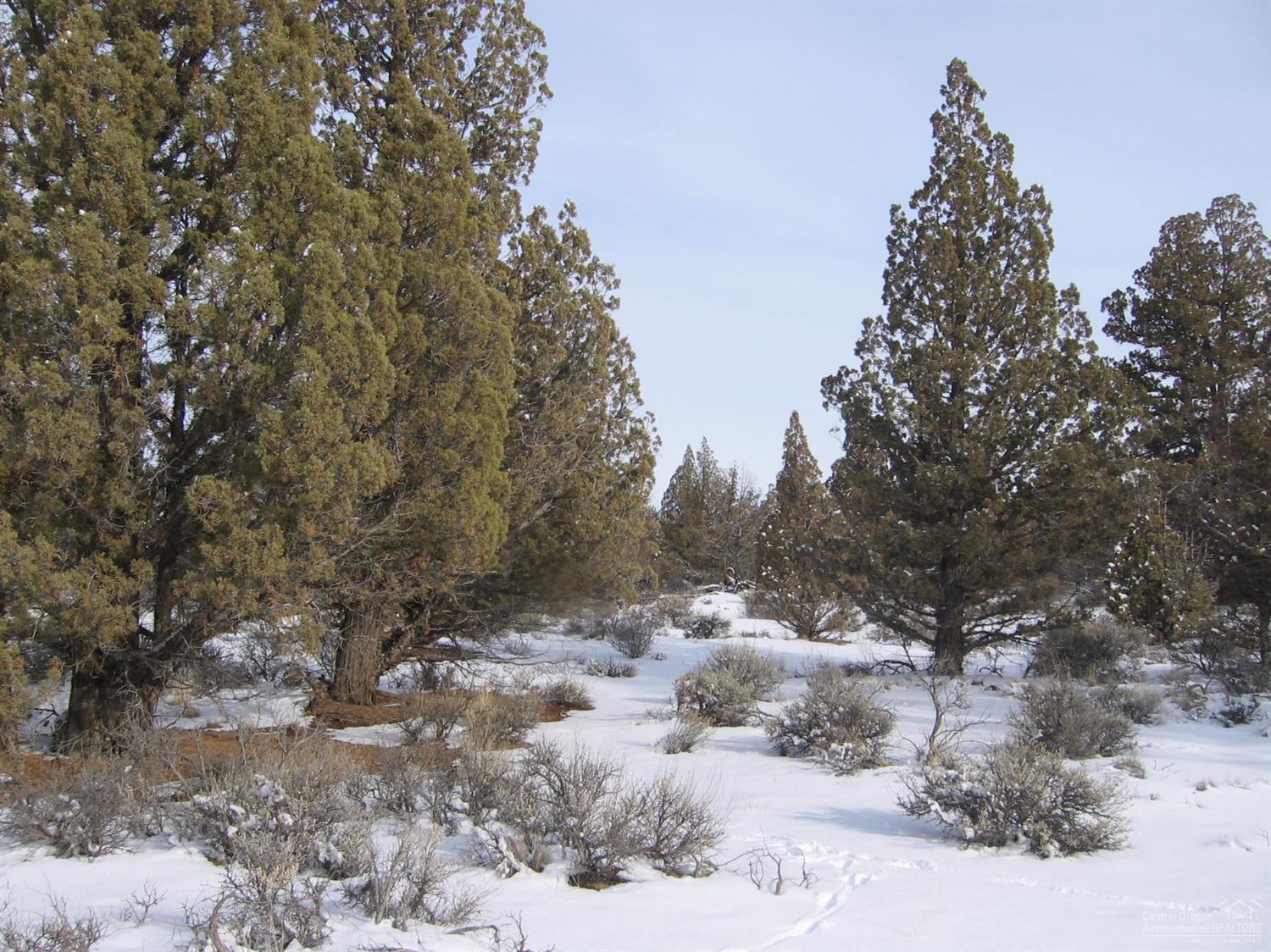Juniper Acres - Land