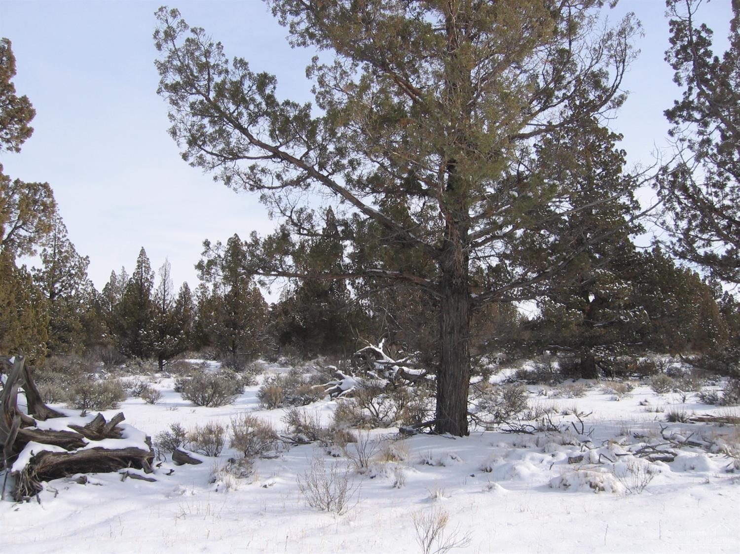 Juniper Acres - Land