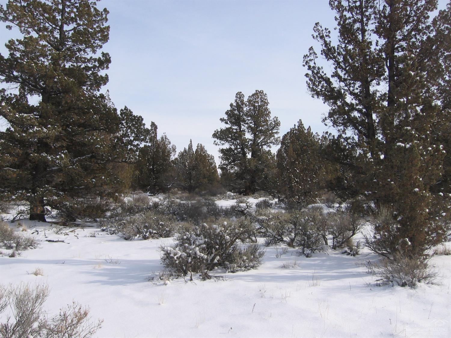 Juniper Acres - Land