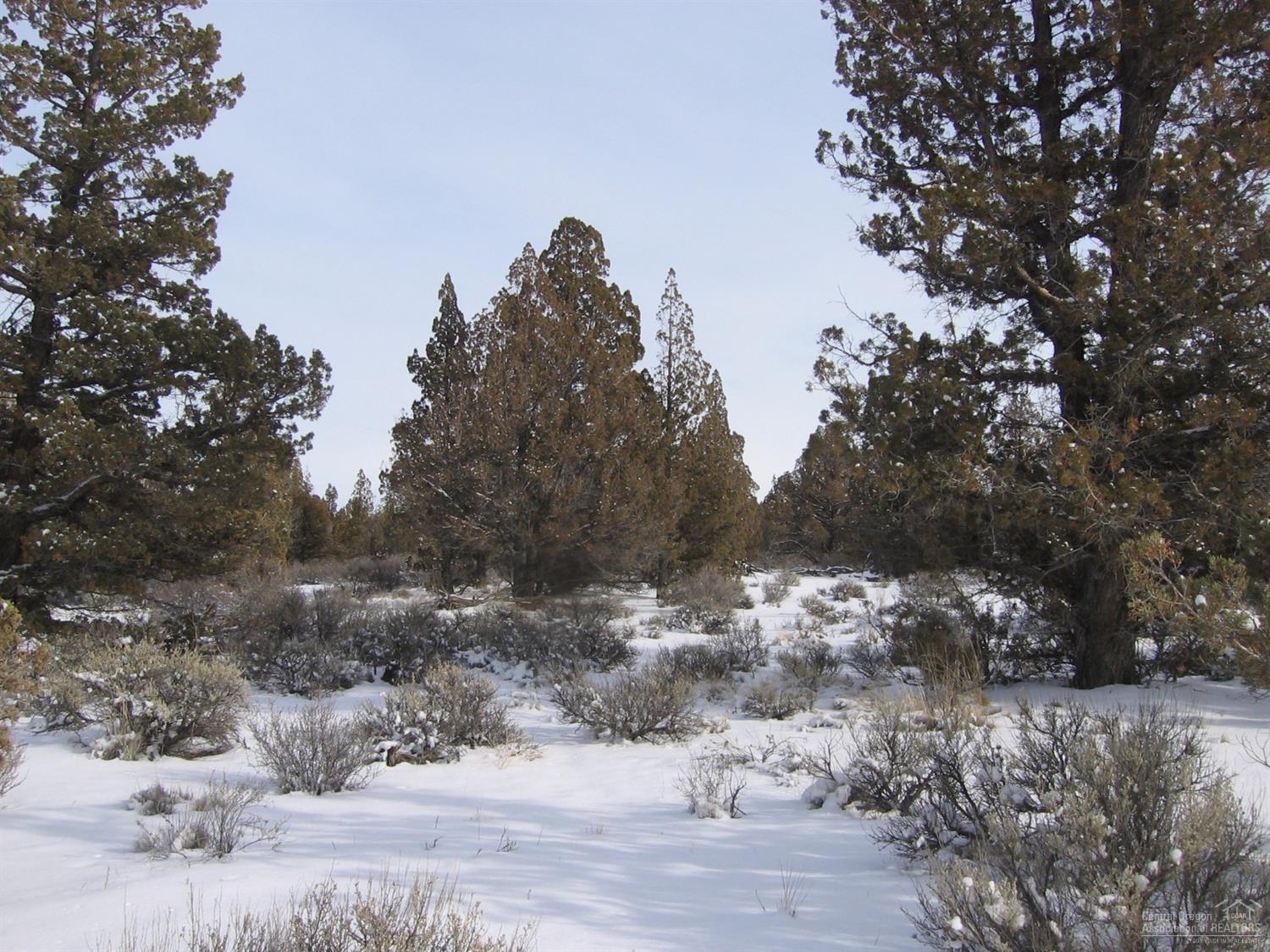 Juniper Acres - Land