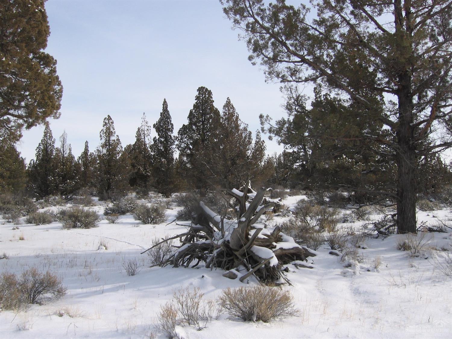 Juniper Acres - Land
