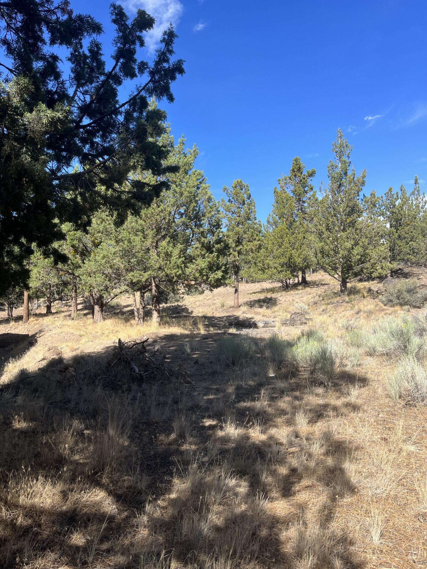 Great location just off the COCC Campus in Northwest Bend. Build townhomes or apartments on this property. Schematics available for a nine unit apartment layout and another 7 unit preliminary townhouse design. Nothing else like it currently on the market.