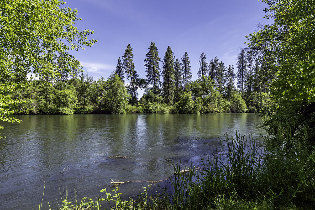 Extraordinary opportunity to own a gated riverfront estate on over 8 acres of premium irrigated land! Located on a highly sought-after & pristine stretch of the Rogue River! The owner of this sophisticated home is a premier interior designer who thoughtfully created the perfect blend of style, function, & comfortability! 29ft floor to ceiling windows capture the abundance of light & highlight the beautiful wood & steel beams & the views of the close to 300 ft of river frontage. 2-story marble slab fireplace surround. Custom stained California chestnut flooring & trim. Stunning chef's kitchen w/Thermador appliances & marble countertops. Main suite features double vanity & walk-in shower w/soaking tub. Beautiful loft style office! Bonus room w/door to exterior creates additional living space- endless possibilities! 3 bay shop, parklike landscaping & plenty of space for horses. One of the only properties with its' own boat launch complete this noteworthy property! *VIDEO TOUR AVAILABLE*