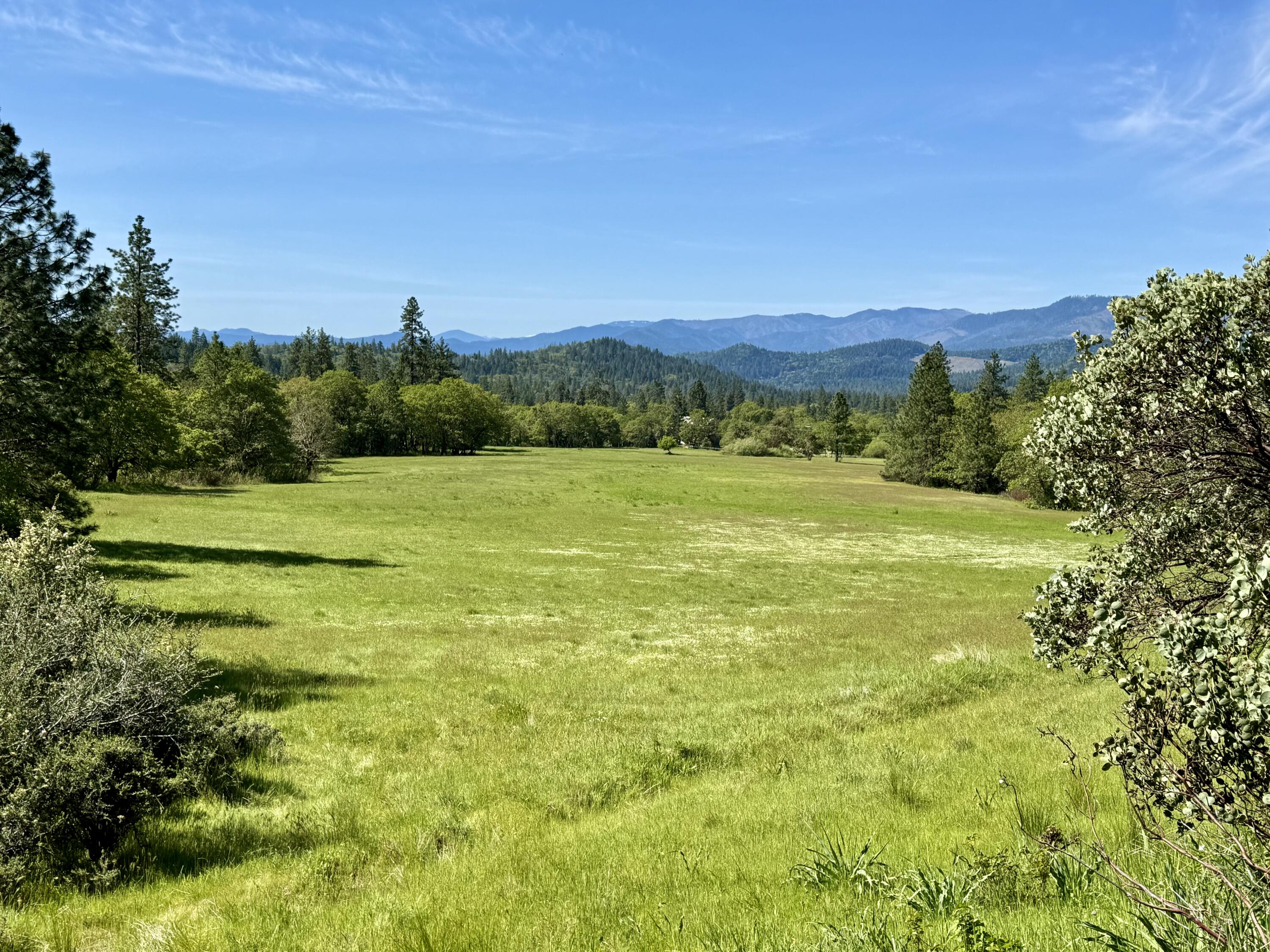 Absolutely stunning 64+ acres with approx 17 acres of meadow overlooking long range valley and mountain views to the south, complete with existing homesite with its own well and septic installed...or go upslope to the spring fed pond to even bigger jaw-dropping long range views!  Balance of property has a variety of terrains and forested mix, with elk, deer, and turkeys roaming around natural meadows in this idyllic forested setting.  This long time homestead is is the primo location for your custom home!  Bummer Creek courses thru the SE corner of the parcel as well. All information is deemed reliable but not verified; anyone considering purchasing this property should perform their own investigation into the uses and condition of the property.
