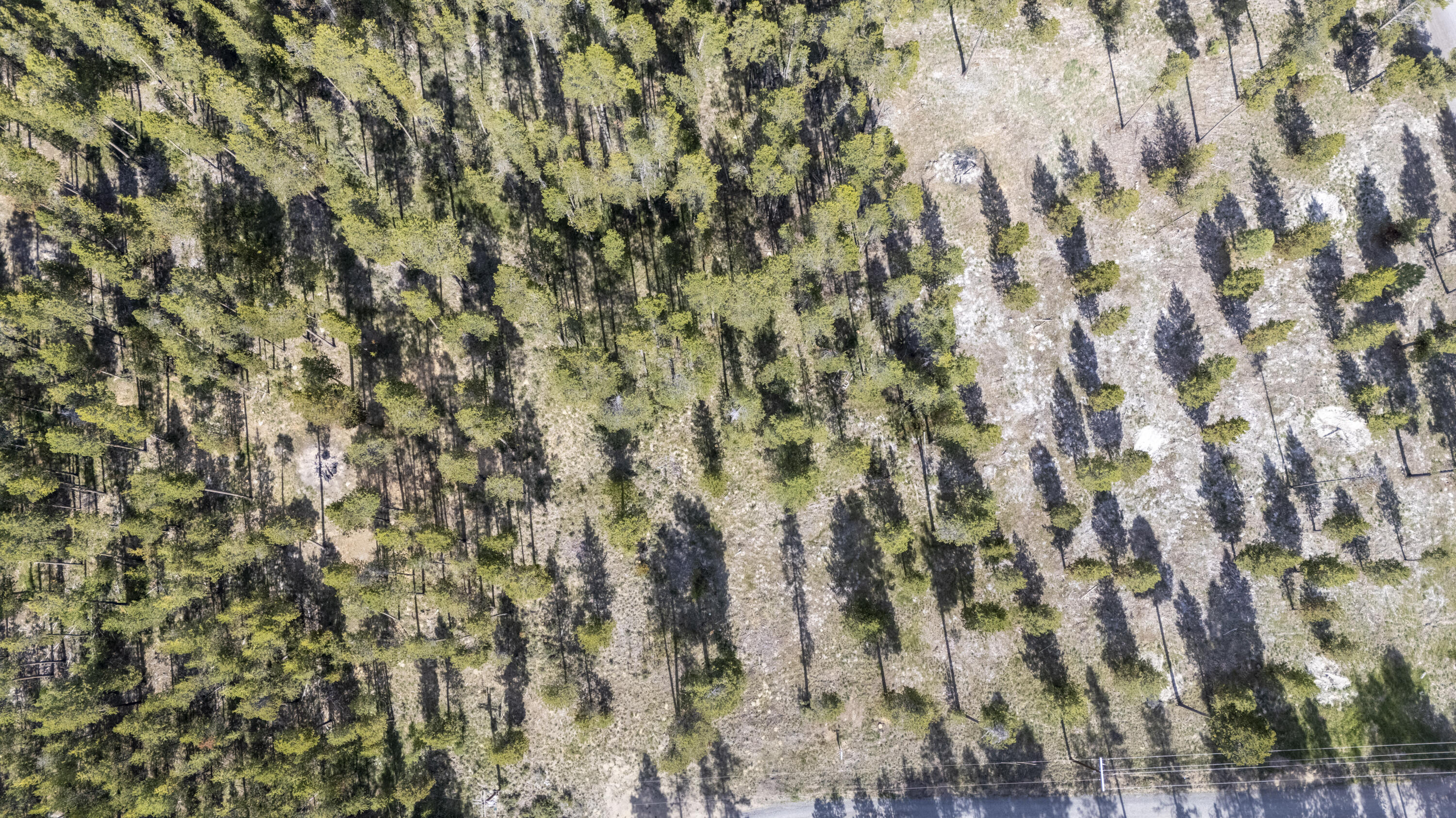 DrrhTrs - Land