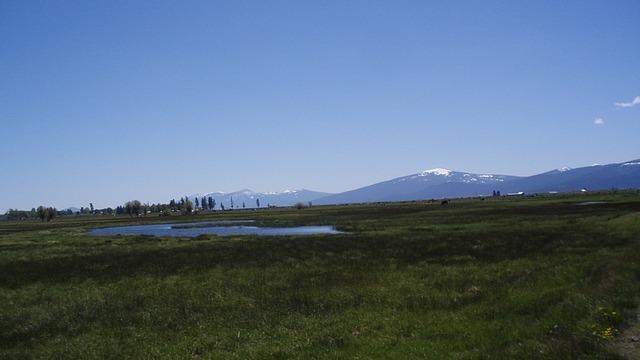 N/A - Farm