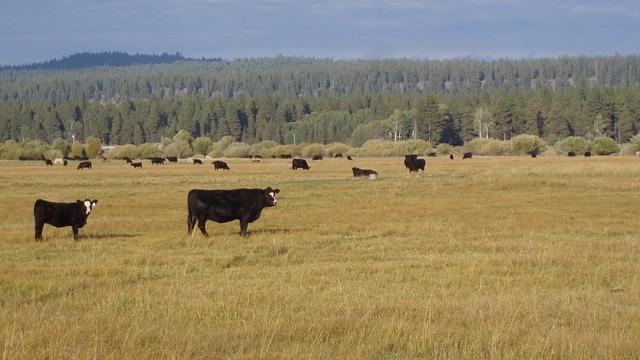 N/A - Farm