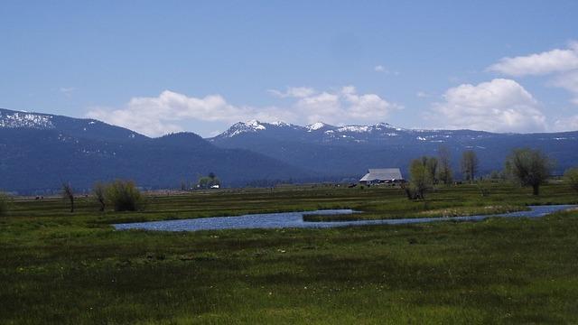 N/A - Farm