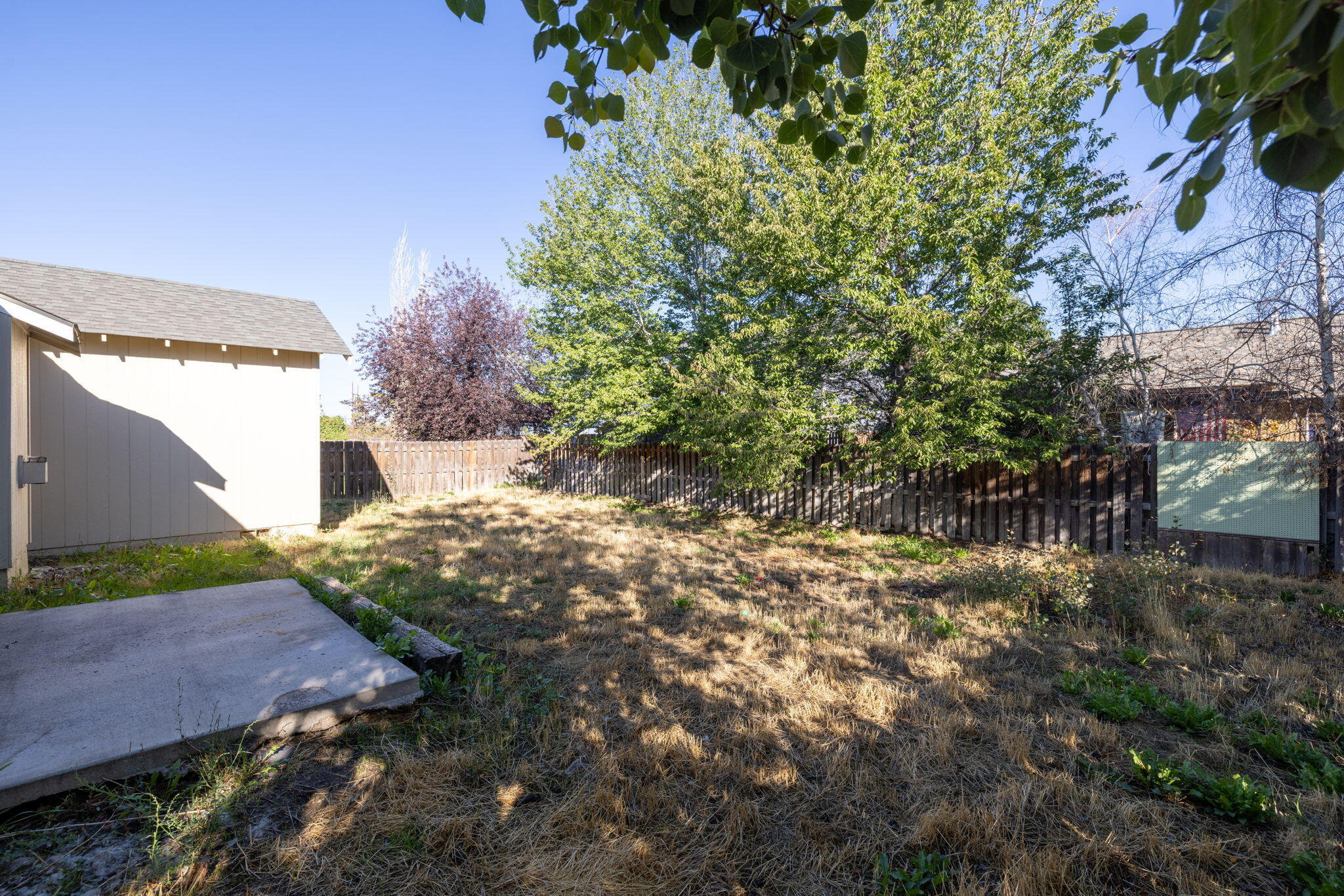 Willow Springs - Residential