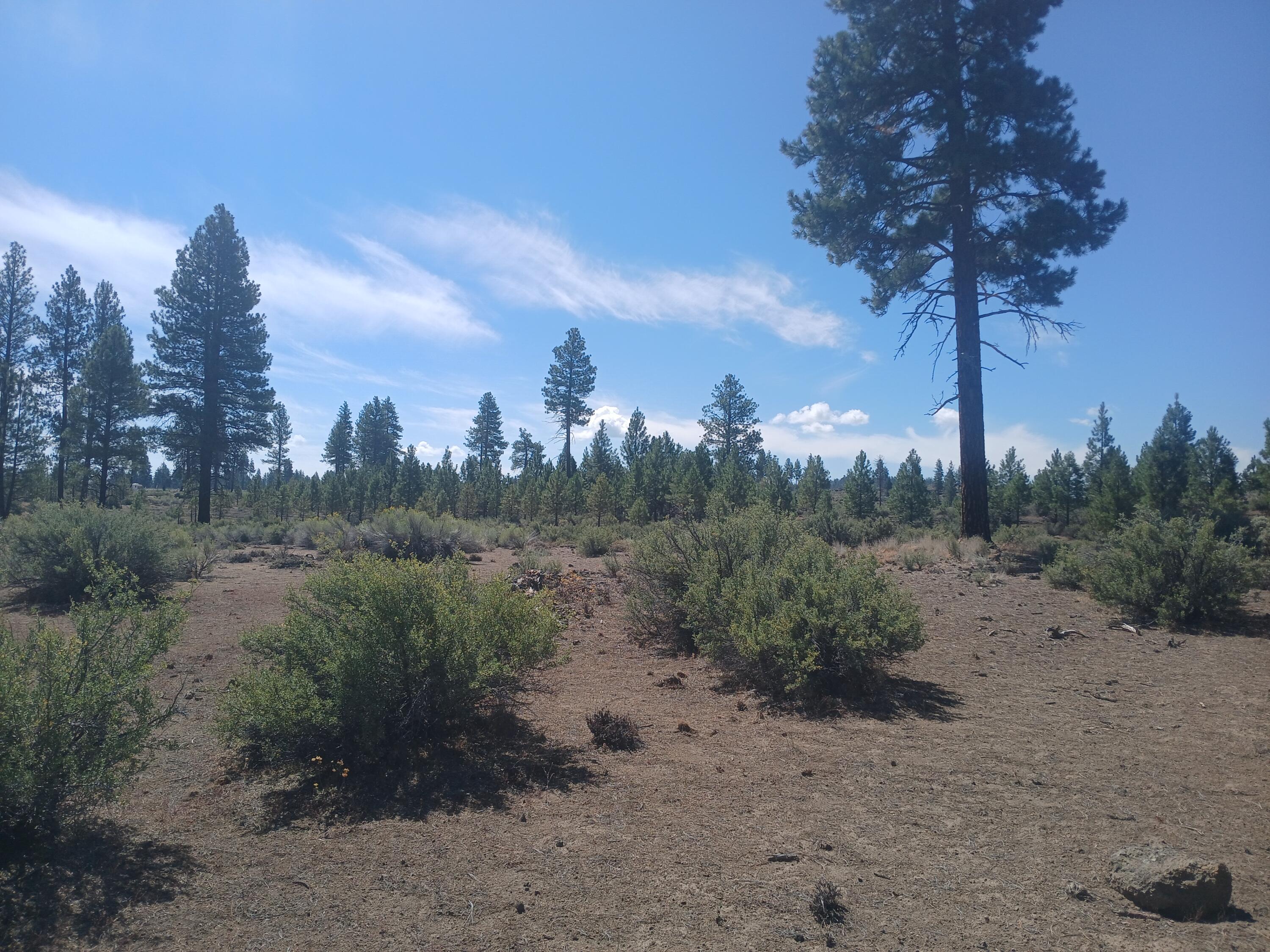 Klamath Forest Estates - Land