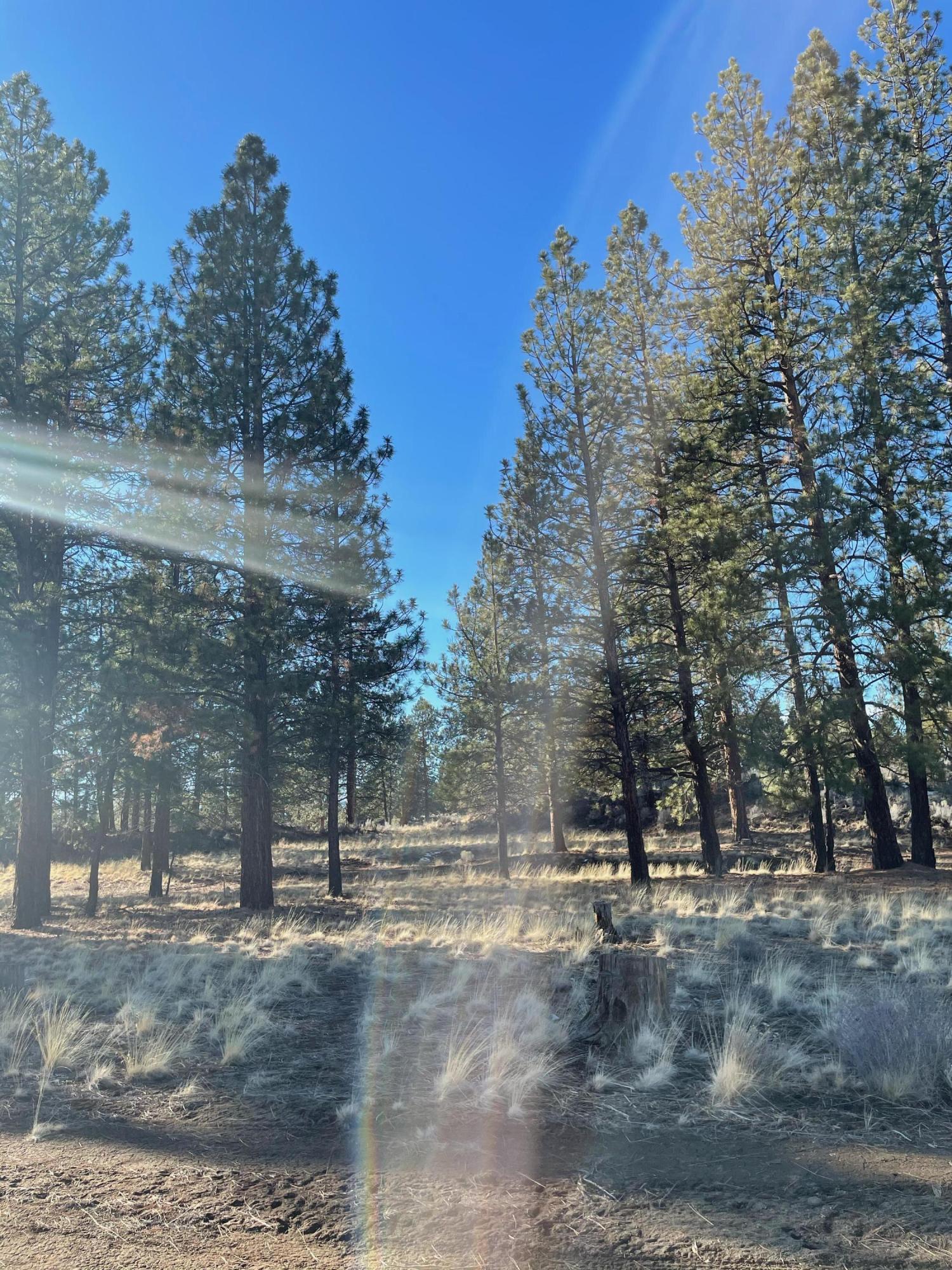 Sunset View Estates - Land
