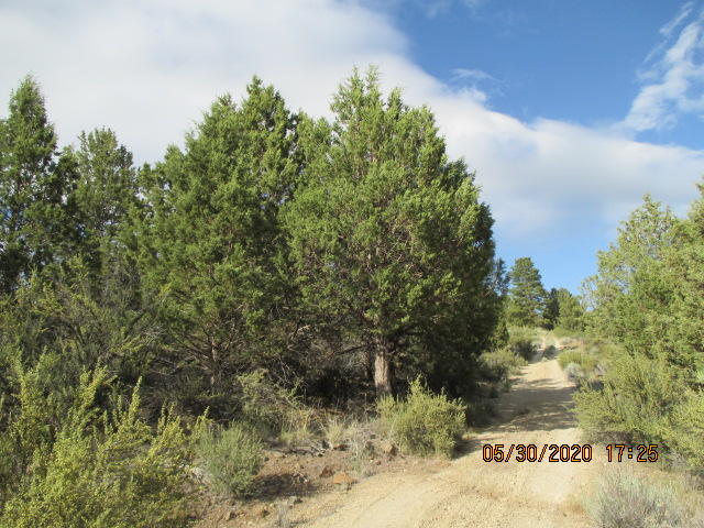 Nearly two acre in a cul-de-sac, this pie-shaped lot has a gradual slop with great views of the Sprague River Valley.  Just a short distance to paved road.