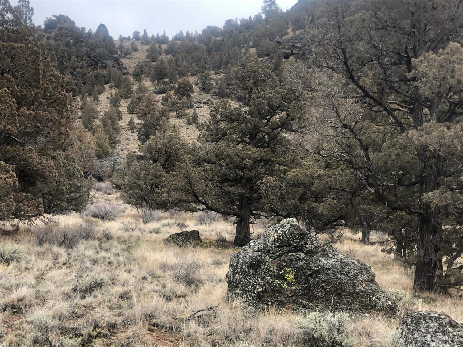 Great 2.8 acre property with gorgeous views. Community water available. Power on both sides of lot. Manufactured homes allowed! No HOAs or restrictive CCRs. Only a few miles from Prineville Reservoir. Perfect for a vacation property or year-round home.