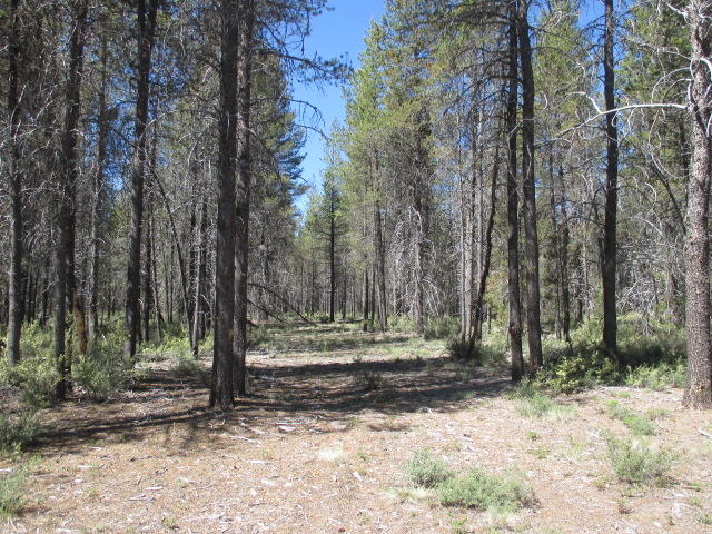 Nice corner lot set among tall trees.  1 acre lot situated in the Mt. Scott Meadow subdivision located between Chiloquin and Bend, OR.  Test holes for septic were previously completed and approved by the county.  In addition, the perimeter of the lot was previously cleared for fire safety.    If you would like to live among the pines and enjoy the outdoors, this place might just be the one you've been looking for.   Great for either year-round living or a vacation get-away!  Area is known for outdoor recreation such as hiking, hunting and mountain biking. 
 Call us today for more details.  Note: Seller is an Oregon Real Estate Principal Broker.