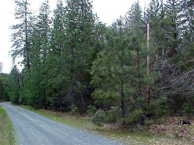 FIVE PRIVATE ACRES ONLY MINUTES FROM DOWNTOWN GRANTS PASS. THIS IS THE IDEAL LOCATION TO BUILD YOUR DREAM HOME. ZONED RR5 WITH WELL AND SEPTIC INSTALLED. POWER AND PHONE AT THE ROAD. MOSTLY LEVEL WITH JUST ENOUGH GENTLE SLOPES TO KEEP THE LAND INTERESTING. WELL FORESTED WITH LOVELY EVERGREEN TREES. WE HAVE NO RECORDS ON THE WELL. DEQ RECORDS ON SEPTIC ARE ON FILE.