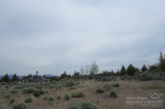 Pronghorn - Land